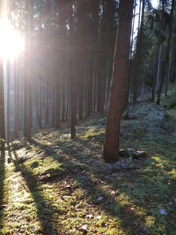 Thueringer Landhotel Edelhof Uhlstadt-Kirchhasel Bagian luar foto